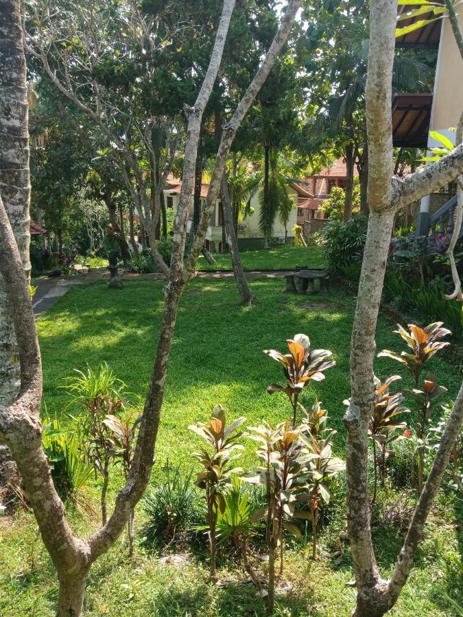 Argasoka 2* Ubud