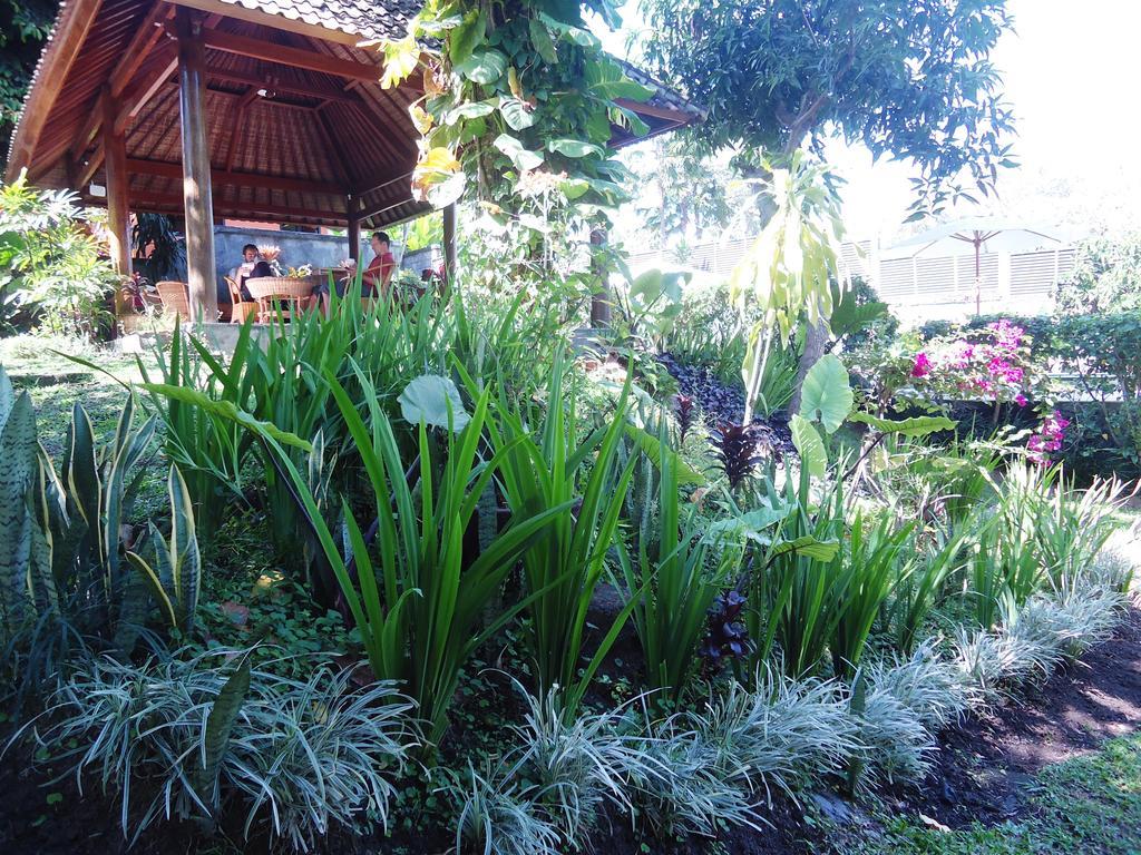 Argasoka Ferienpark