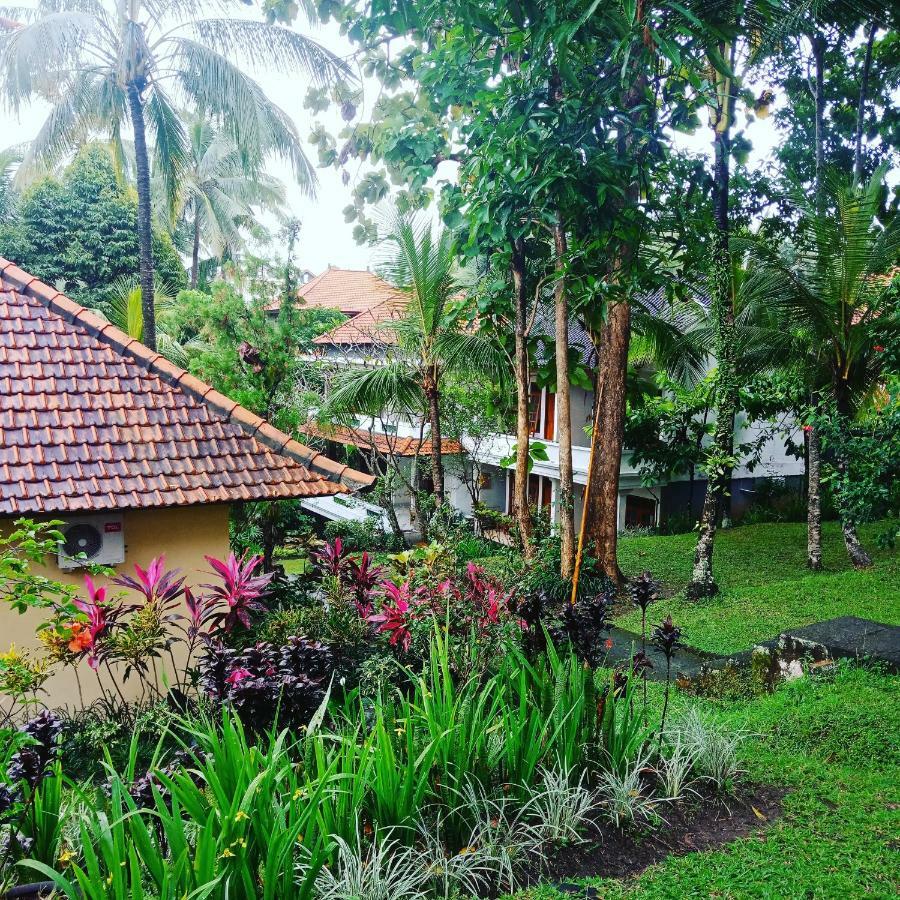 Argasoka Ferienpark