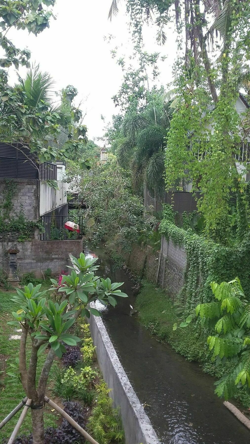 Argasoka Ubud