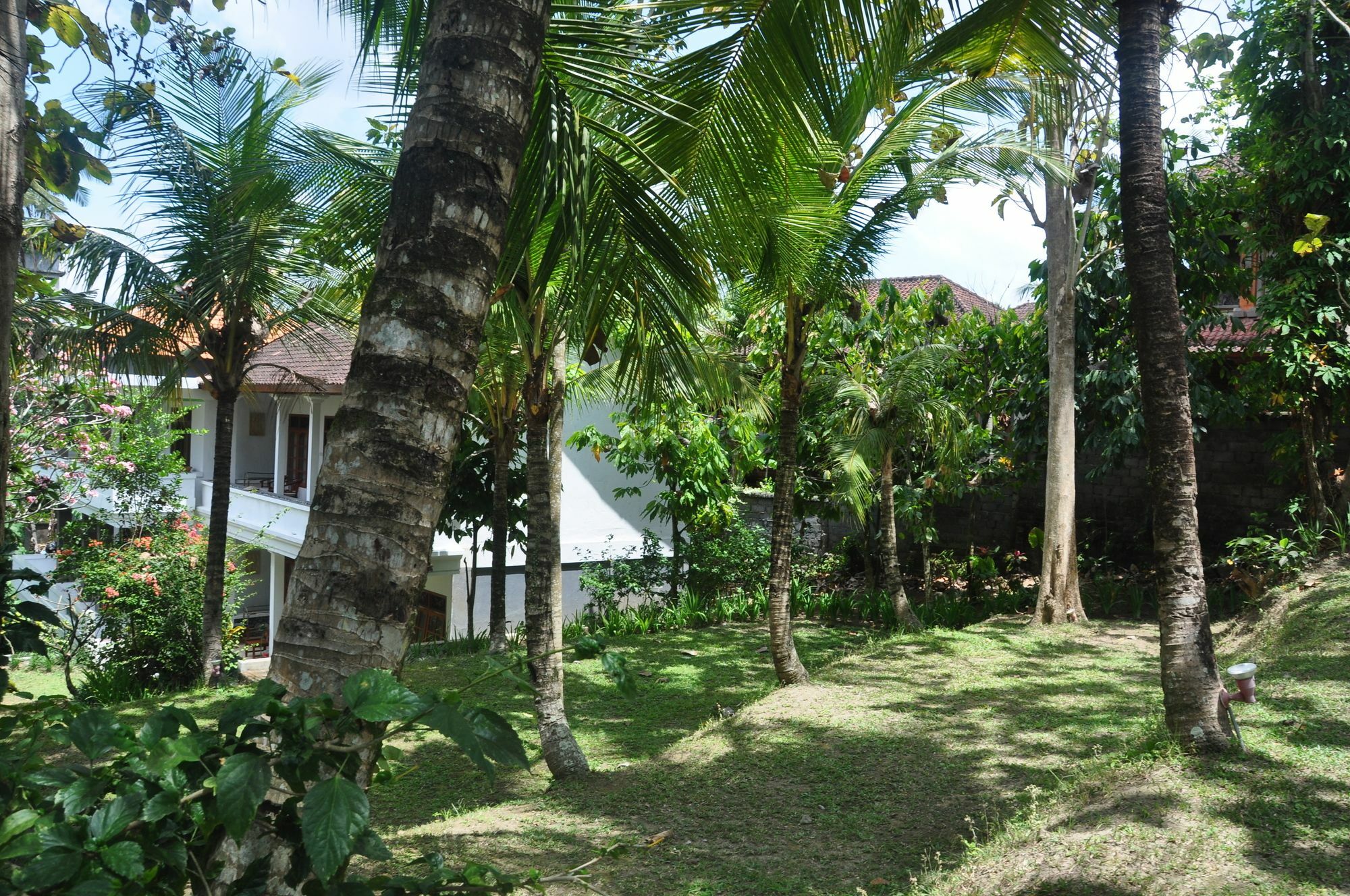 Argasoka Ferienpark 2*